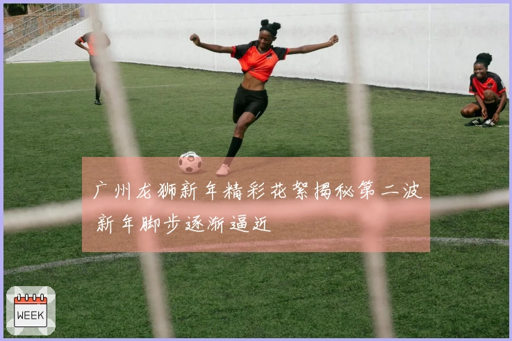 广州龙狮新年精彩花絮揭秘第二波 新年脚步逐渐逼近